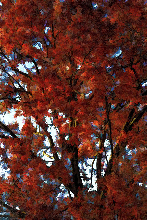 Autumn Impressionism Photograph by Robert Ullmann