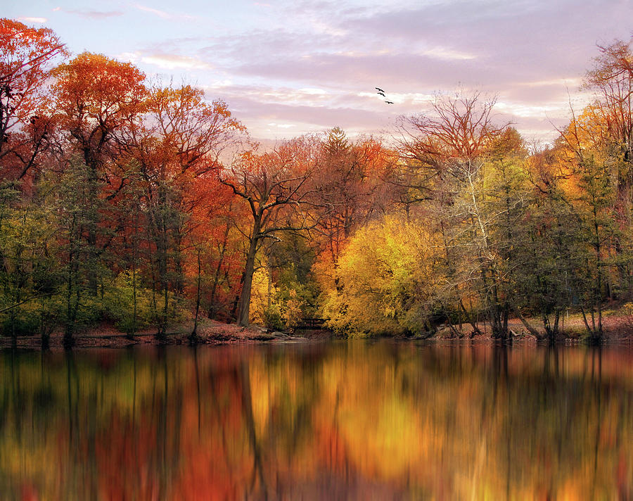 Autumn Impressions  Photograph by Jessica Jenney