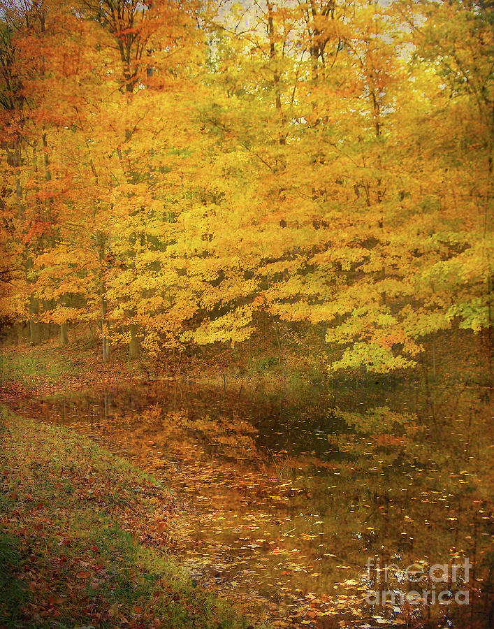 Autumn Impressions Photograph by Kathi Mirto