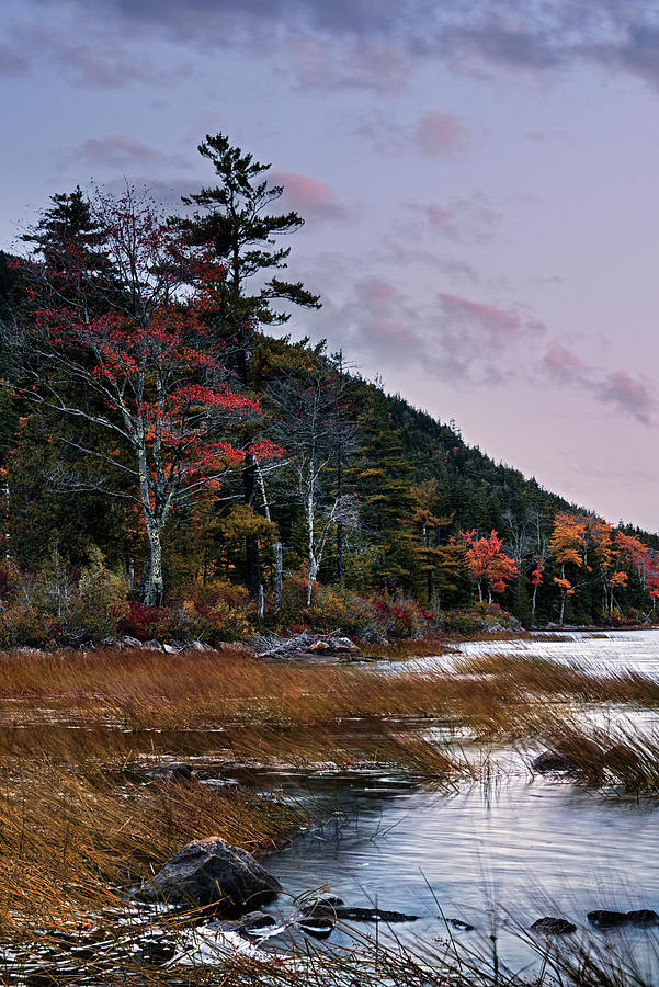 Autumn In Acadia 1 Photograph by Robert Fawcett