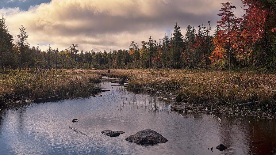 Autumn In Acadia 3 Photograph by Robert Fawcett