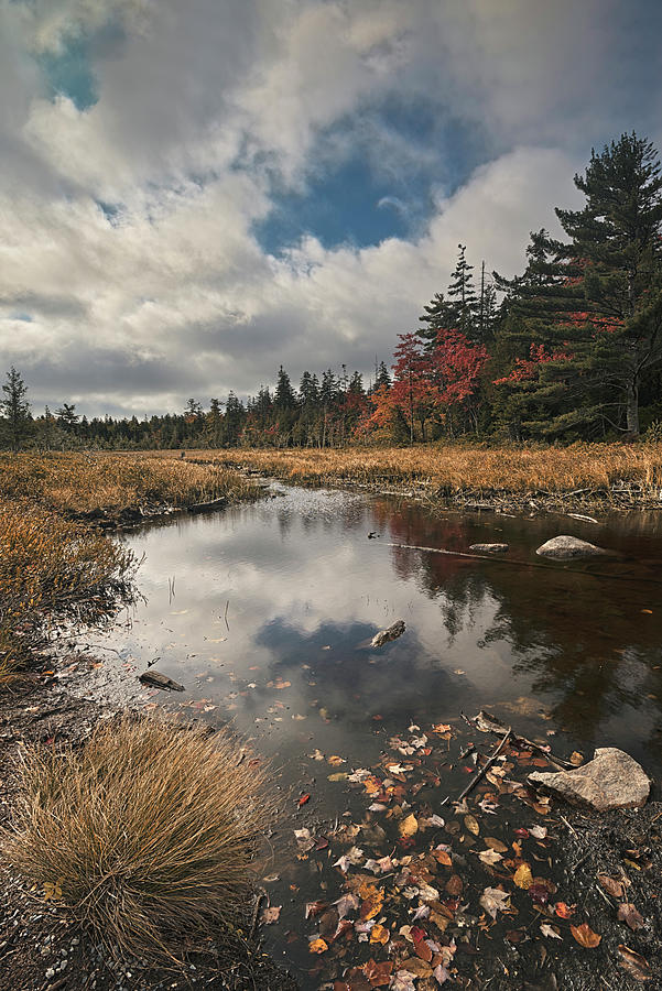 Autumn In Acadia 4 Photograph by Robert Fawcett