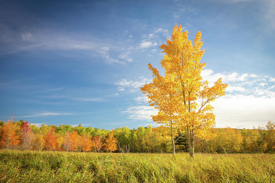 Landscape Photograph - Autumn in Acadia by Jake Sublett Landscape Photograph - Autumn in Acadia by Jake Sublett