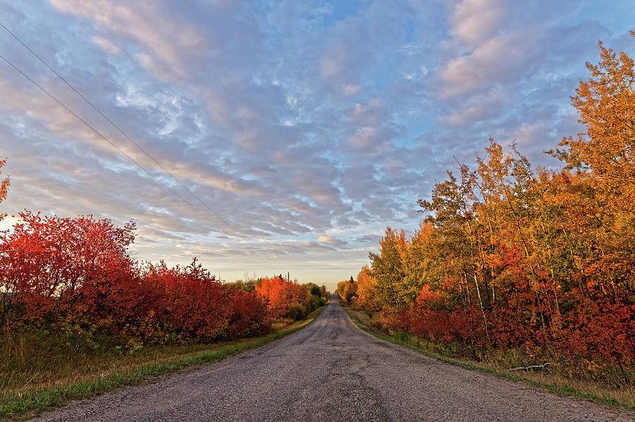 Autumn in Alberta Photograph by Dan Jurak
