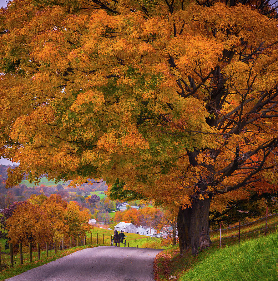 Autumn in Amish Country Photograph by Mary Carol Story