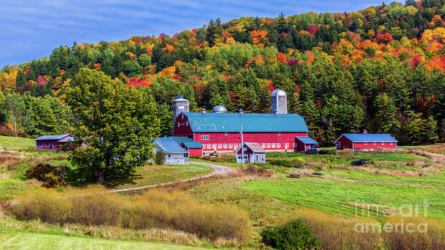 Autumn in Barnet Vermont Photograph by New England Photography