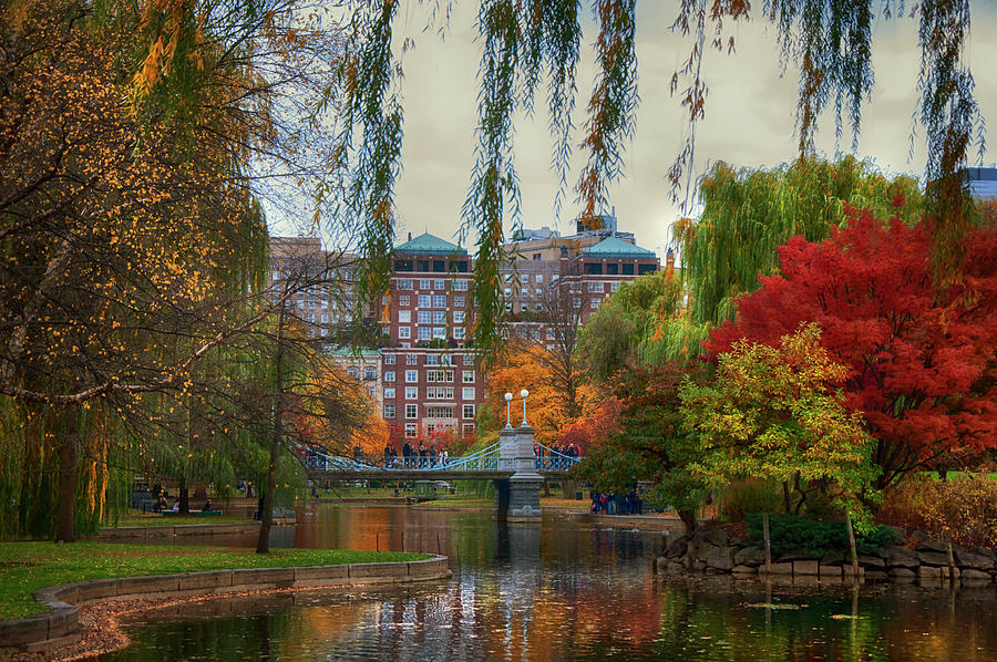 Autumn in Boston Garden Photograph by Joann Vitali