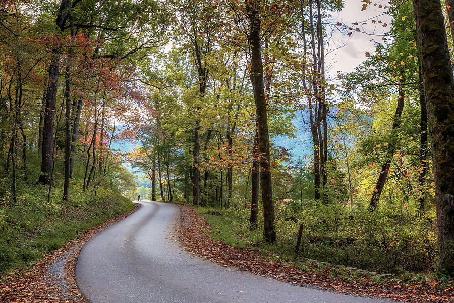 Autumn in Cades Cove - Smoky Mountains Photograph by Susan Rissi Tregoning