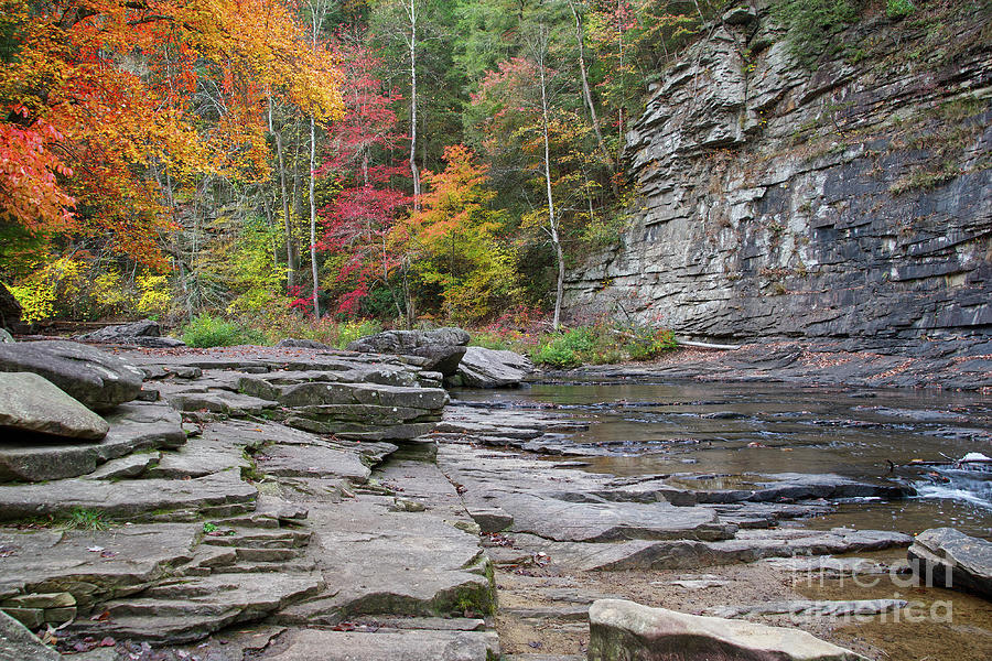 Autumn In Cane Creek Photograph by Phil Perkins