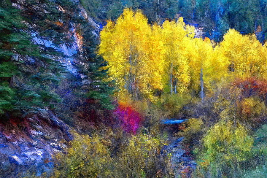 Autumn in Cedar Canyon Photograph by Donna Kennedy