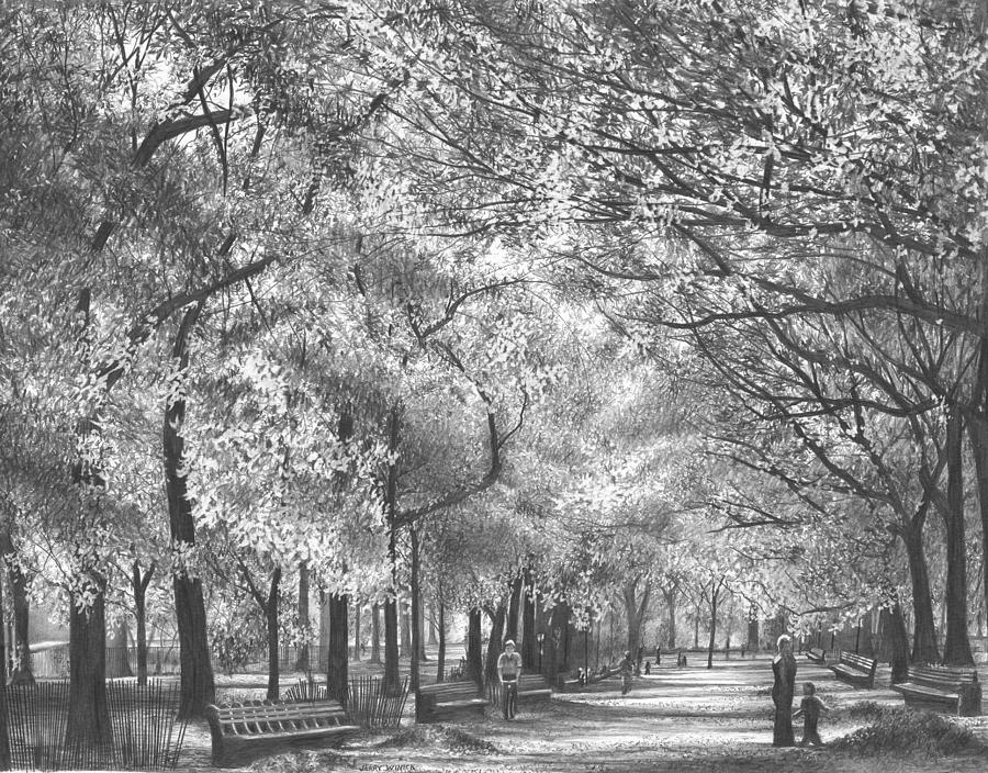 Autumn in Central Park Drawing by Jerry Winick