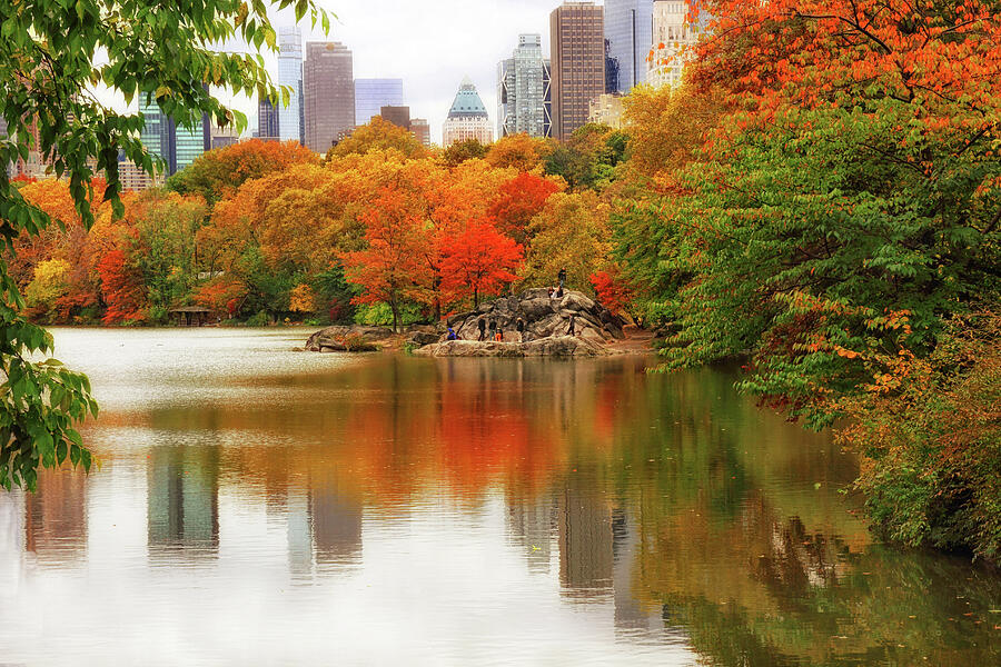 Autumn in Central Park Photograph by Jessica Jenney Autumn in Central Park Photograph by Jessica Jenney