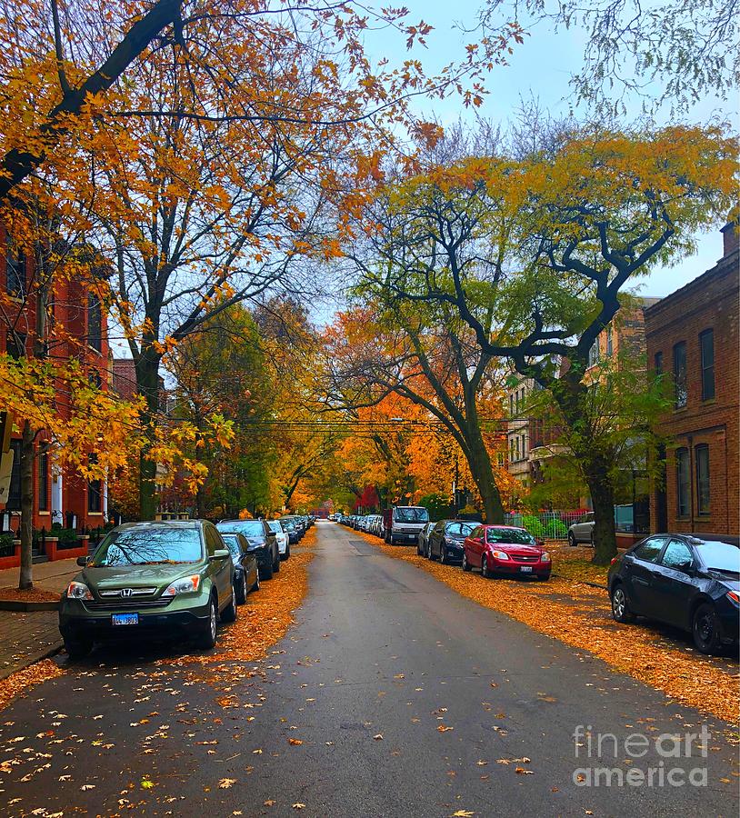 Autumn in Chicago Photograph by Jenny Revitz Soper