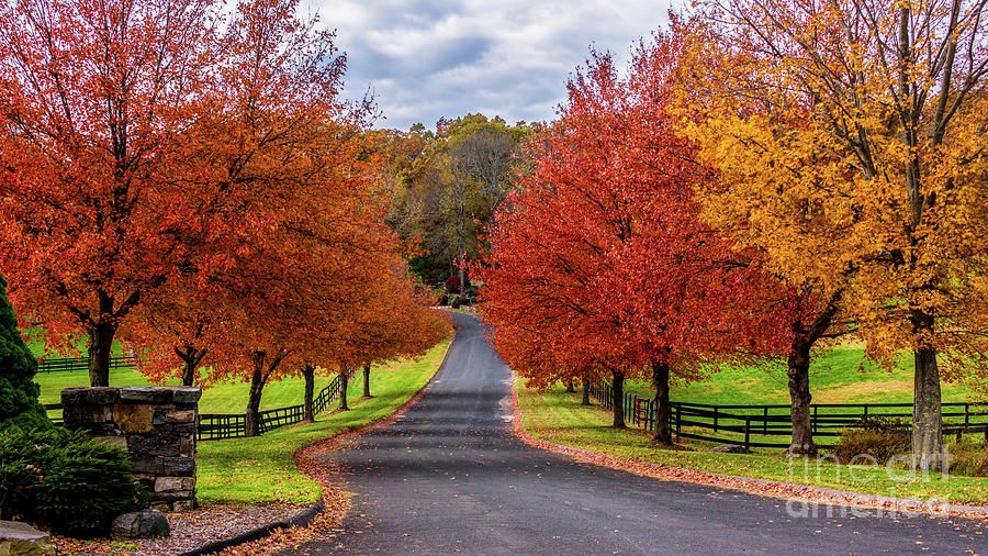 Autumn in Connecticut Photograph by New England Photography
