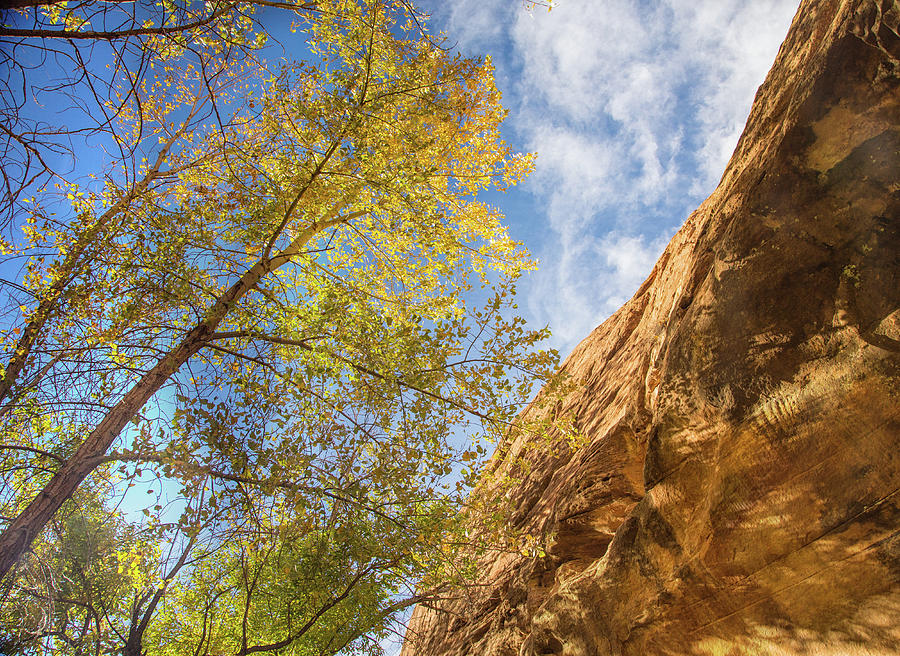 Autumn in Coyote Gulch Photograph by Kunal Mehra