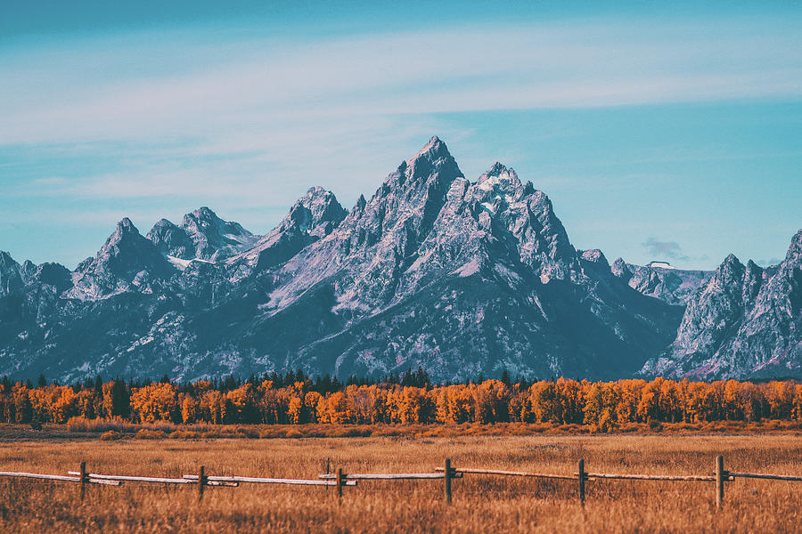 Autumn In Grand Teton National Park Photograph by Dan Sproul