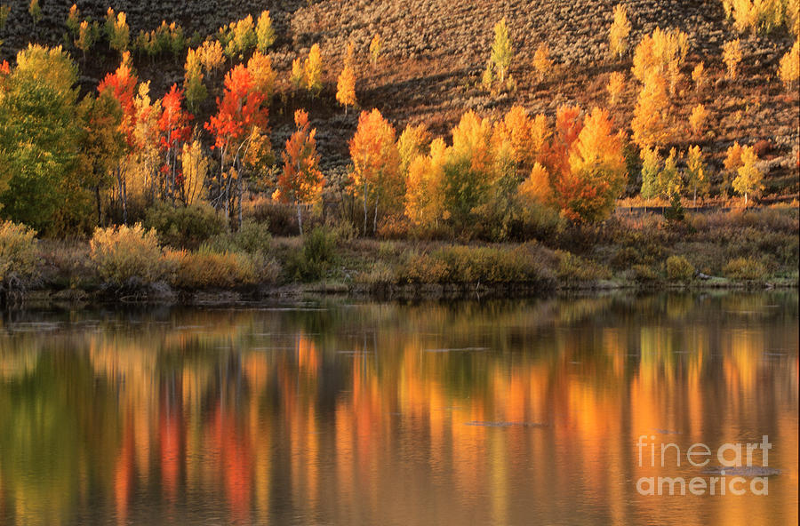 Autumn in Grand Teton Photograph by Sandra Bronstein