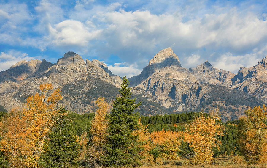 Autumn In Grand Tetons Photograph By Dan Sproul - Fine Art America