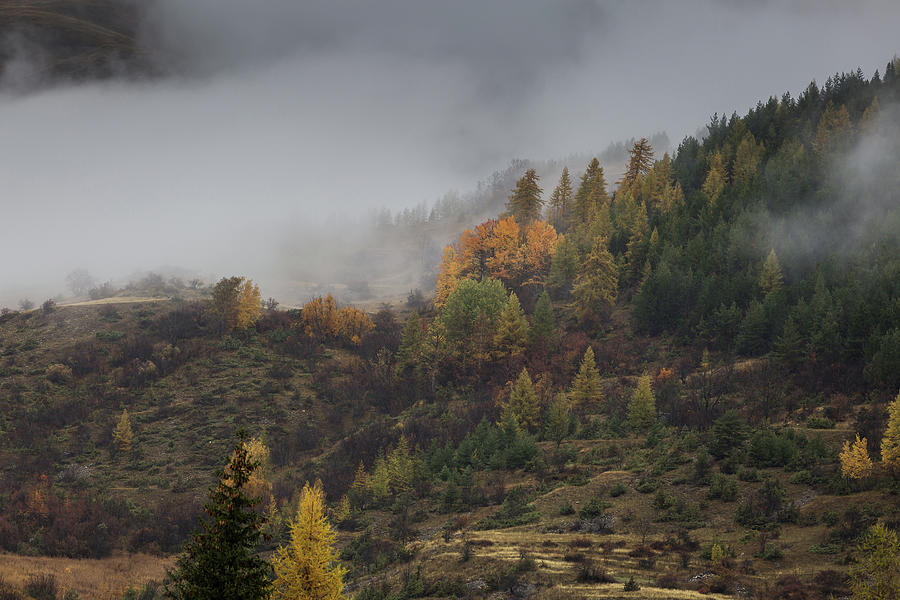 Autumn in Guisane valley - French Alps Photograph by Paul MAURICE