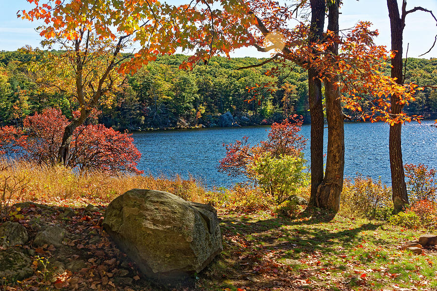 Autumn in Harriman State Park #7 Photograph by Alan Goldberg