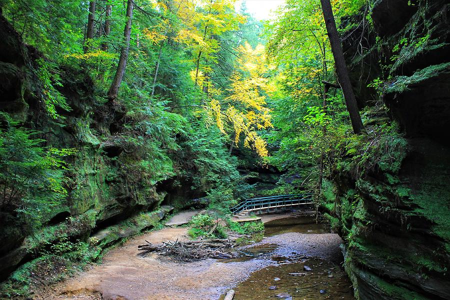 Autumn in the Hocking Hills Photograph by Gregory A Mitchell