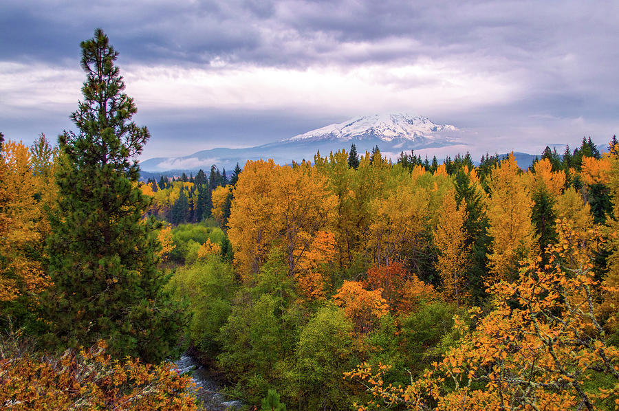 Autumn in Hood River Photograph by Russell Wells