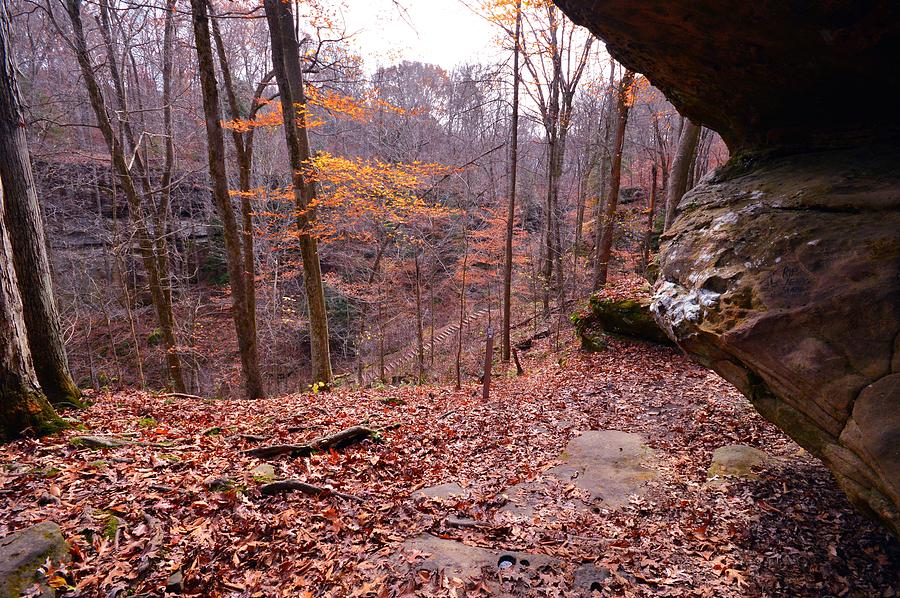 Autumn in Hoosier National Forest Cave Photograph by Stacie Siemsen