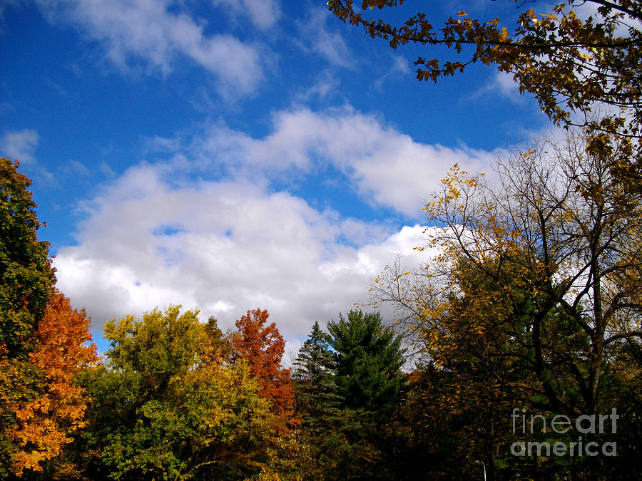 Autumn In Illinois - Frank J Casella Photograph