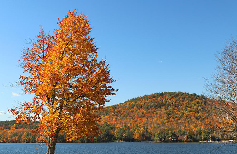 Fall Photograph - Autumn In Lake George by Living Color Photography Lorraine Lynch