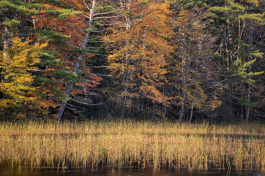 Autumn In Maine 36 Photograph by Robert Fawcett