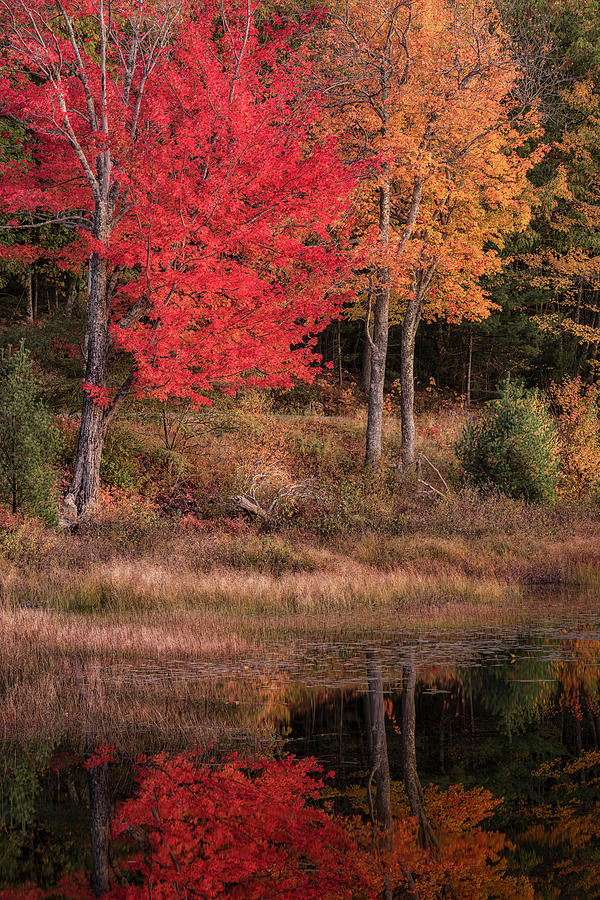 Autumn In Maine 37 Photograph by Robert Fawcett