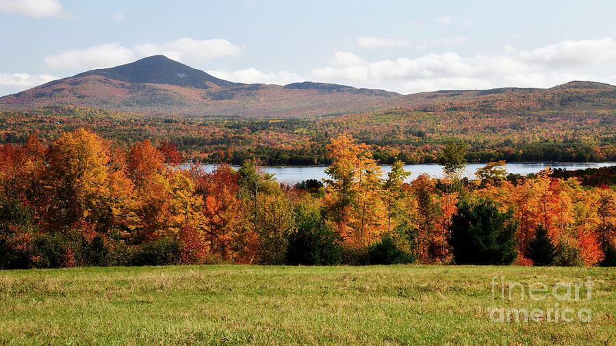 Autumn in Maine  Photograph by Steve Brown