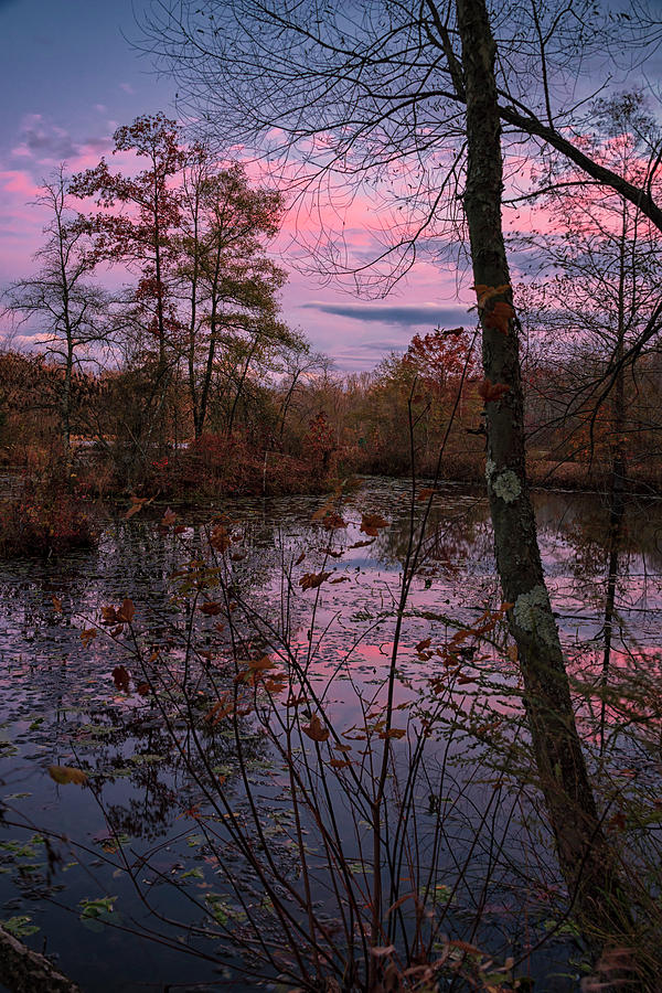 Autumn In Maryland 5 Photograph by Robert Fawcett