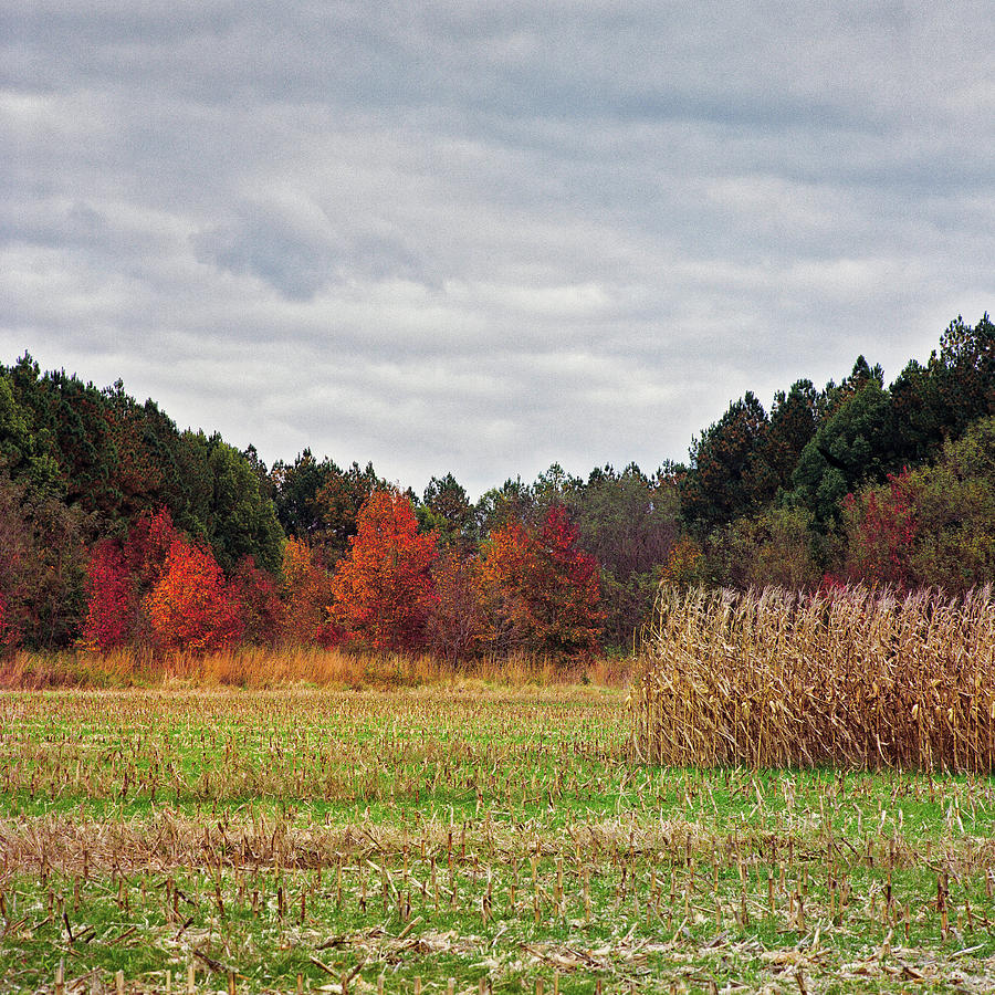 Autumn In Maryland 16 Photograph by Robert Fawcett