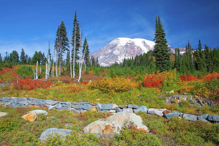 Autumn in Mt. Rainier National Park Photograph by Pauline Hall