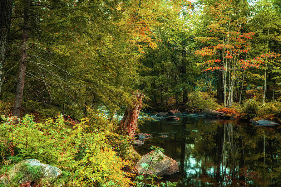 Autumn in NH - Blackwater river 1 Photograph by Lilia S