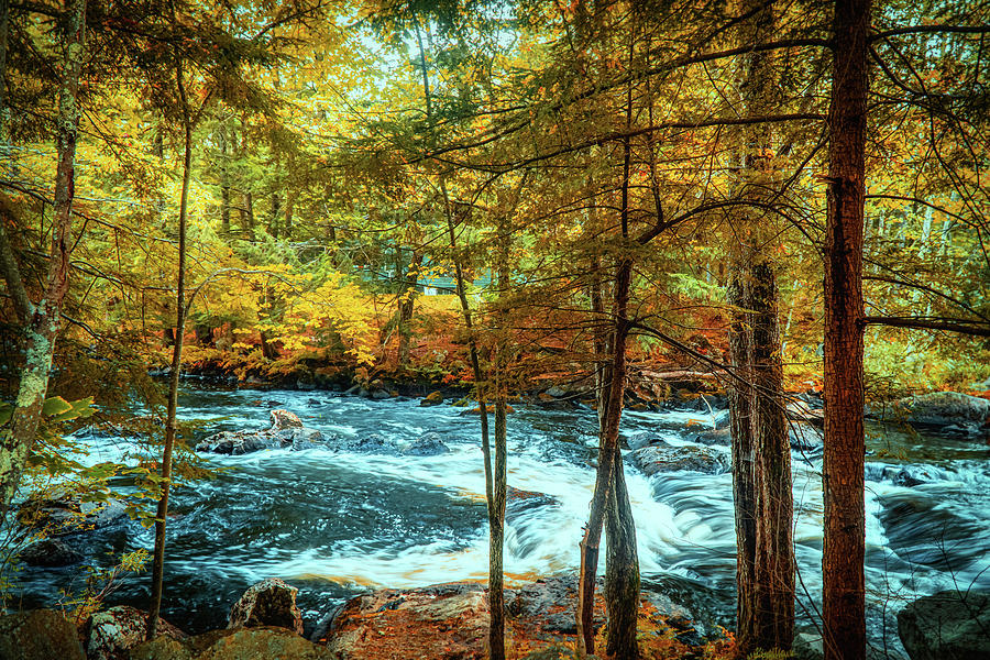 Autumn in NH - Blackwater river  Photograph by Lilia S