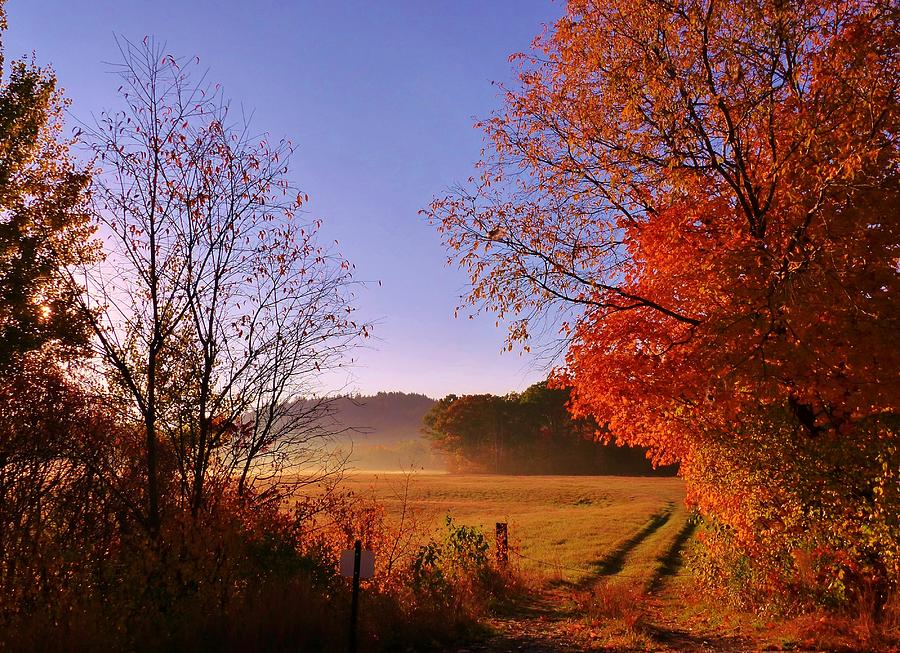 Autumn in NH Photograph by Elaine Franklin