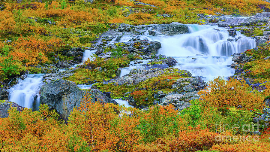 Autumn in Norway Photograph by Henk Meijer Photography
