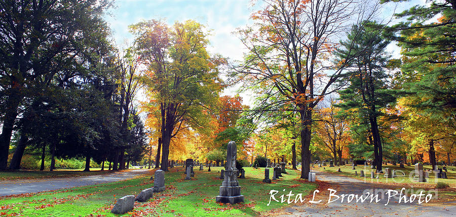 Autumn in Old Waltham Photograph by Rita Brown