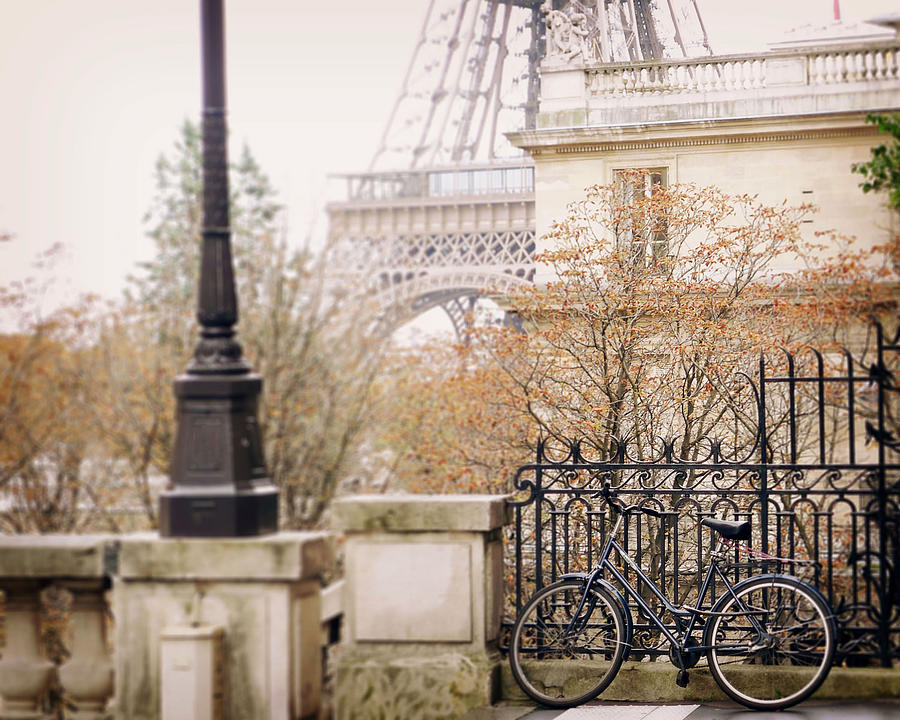 Autumn in Paris Photograph by Liz Rusby