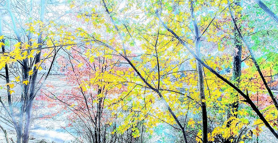 Tree Photograph - Autumn in Pastel  by Paul Kercher