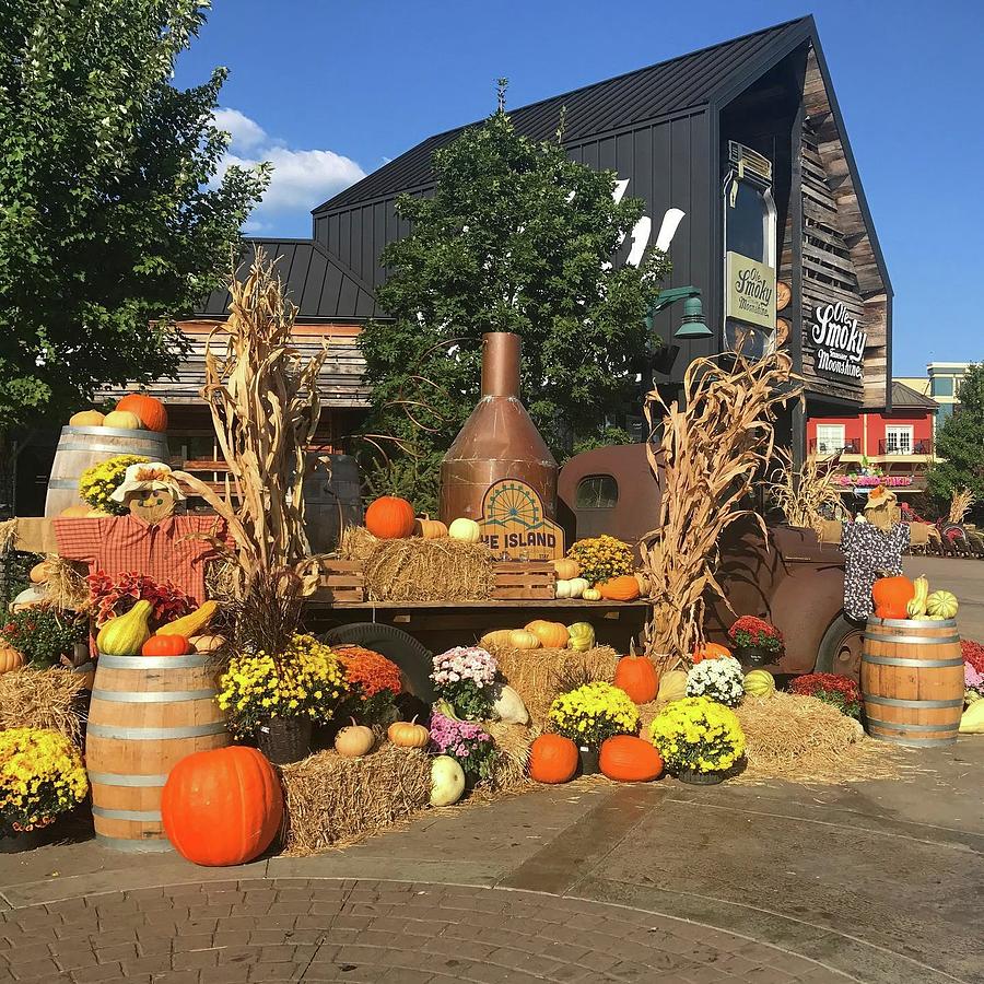 Autumn in Pigeon Forge Photograph by Virgina Martinez - Fine Art America