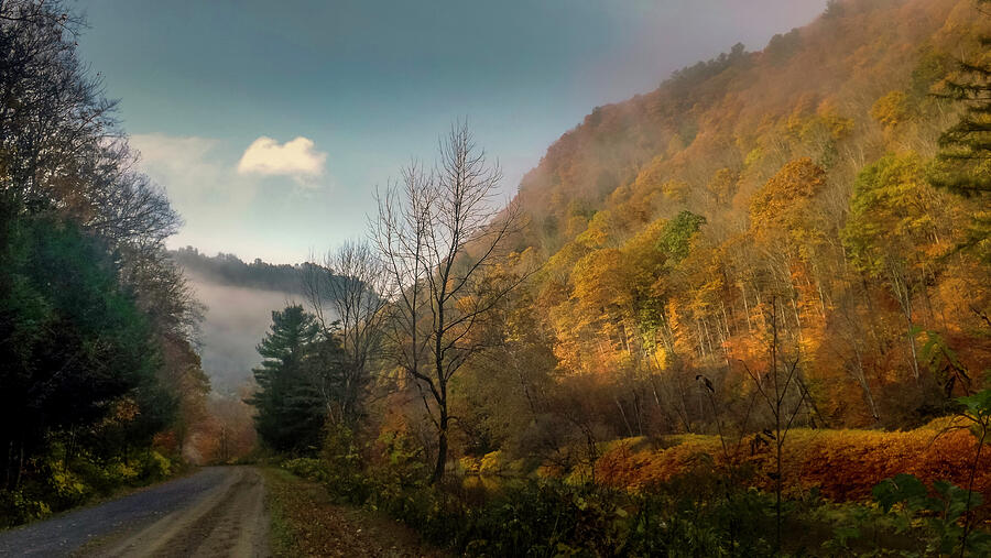 Autumn In Pine Creek Gorge  Photograph by Joyce Wasser
