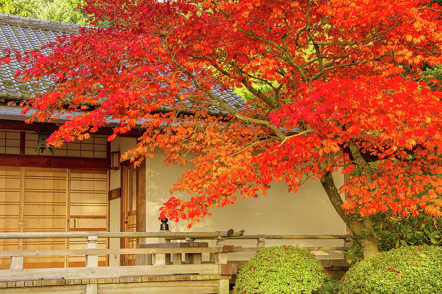 Autumn in Portland Japanese Garden Photograph by Kunal Mehra