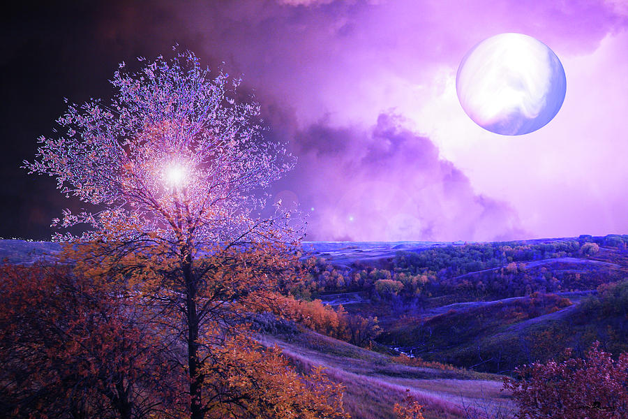 Autumn in Purple Digital Art by Andrea Lawrence