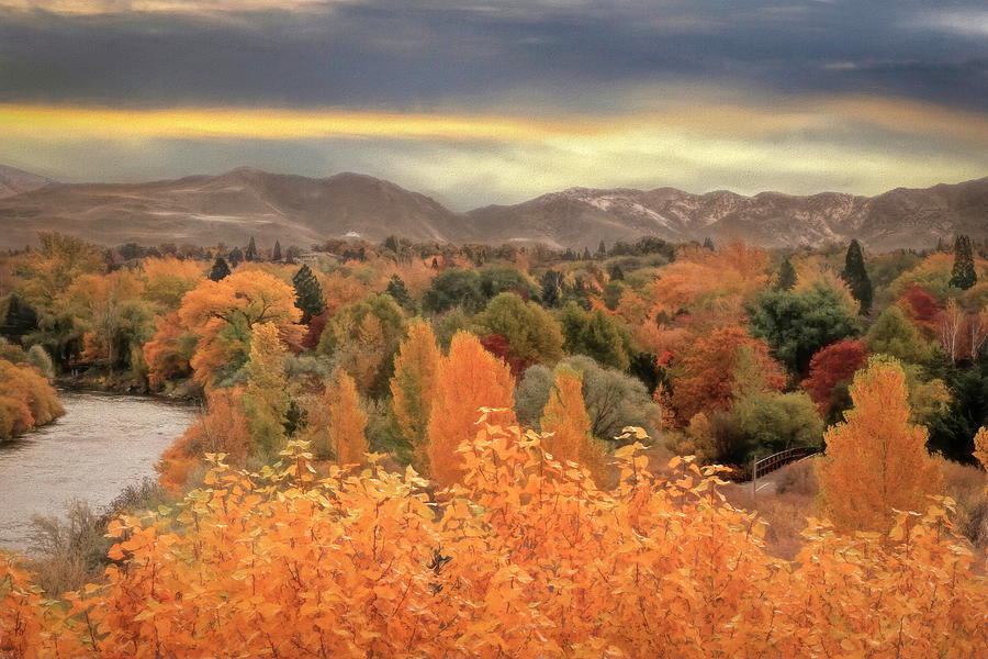 Autumn In Reno             Photograph by Donna Kennedy