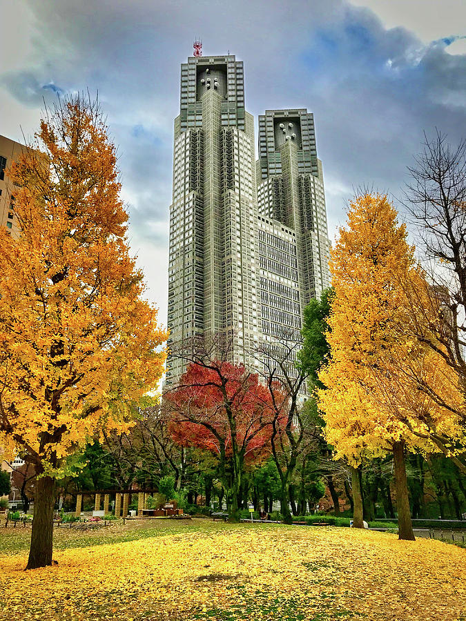 Autumn in Shinjuku Park Photograph by Bradley Morris