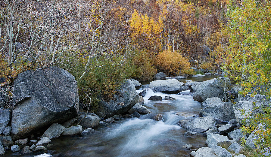 Autumn in Sierra-Nevada Mountains California Photograph by Ram Vasudev