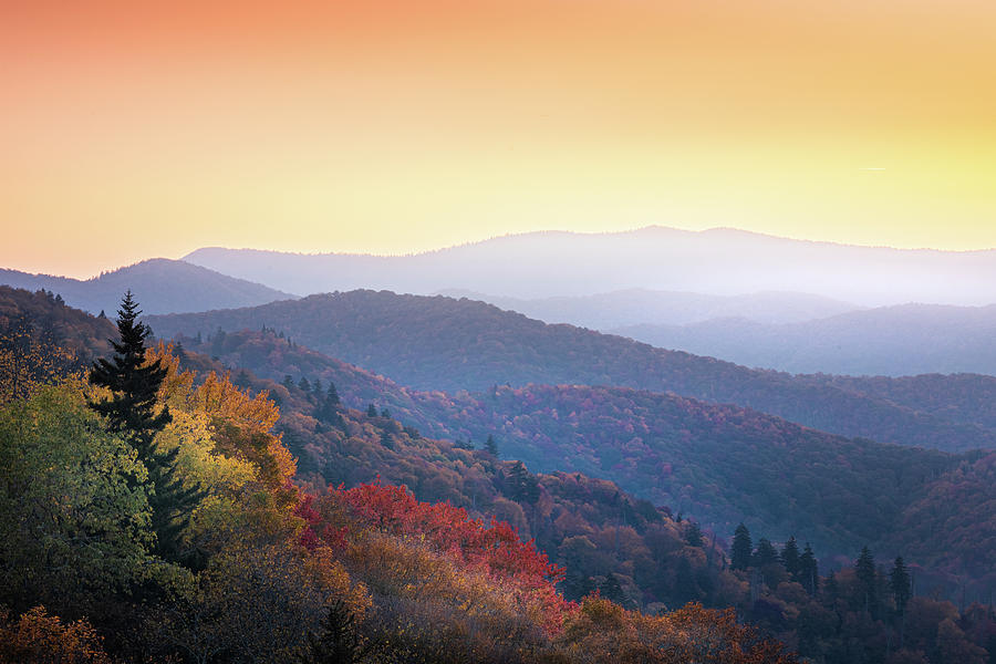 Autumn In Smoky Mountain National Park  Photograph by Jordan Hill